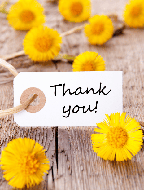 Mail Greeting Cards Online: What You Need to Know